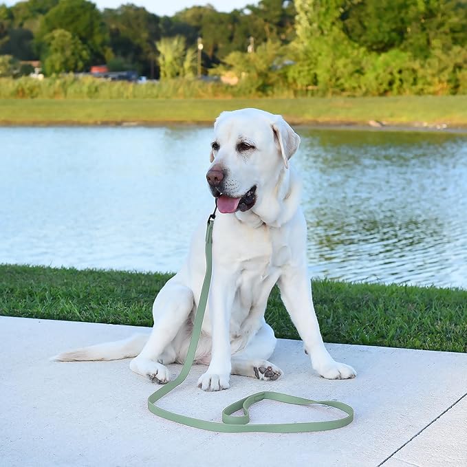 Dogline Biothane Waterproof Dog Leash Strong Coated Nylon Webbing with Black Hardware Odor-Proof Easy to Clean High Performance for Small or Large Dogs Made in USA 4 or 6 ft Lead, Sage Green