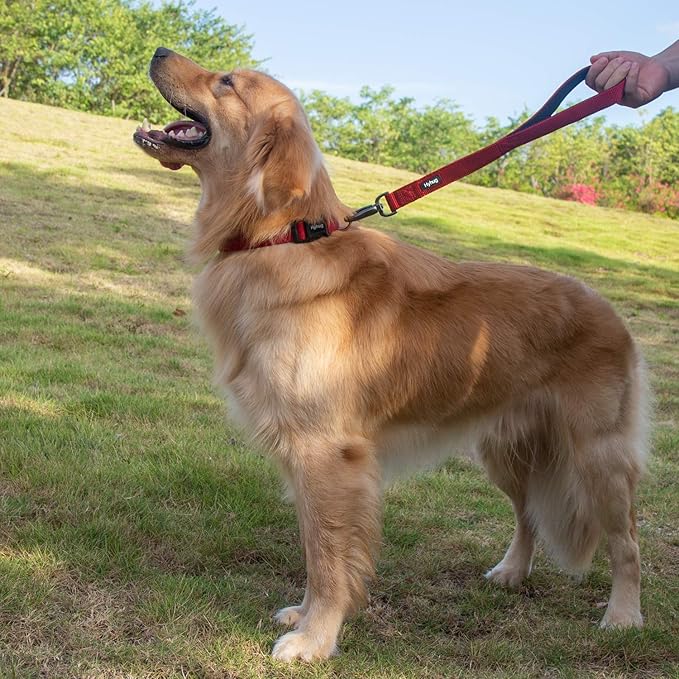 Hyhug Traffic Nylon 18 Inches Short Leash with Soft Neoprene Padded Handle for Giant Large Medium Boy and Girl Dogs - Professional Training, Daily Use Walking. (18 Inches, Red)