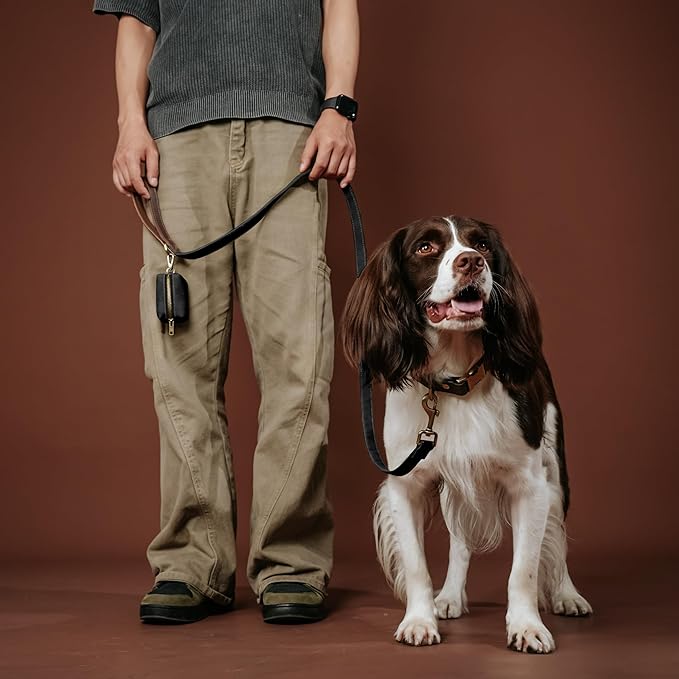 Didog PU Leather Dog Leash for Small Dogs 4.5ft, Soft Padded Handle Faux Leather Dog Leashes for Medium Dogs, Walking and Training Leashes for Large Dogs,Black