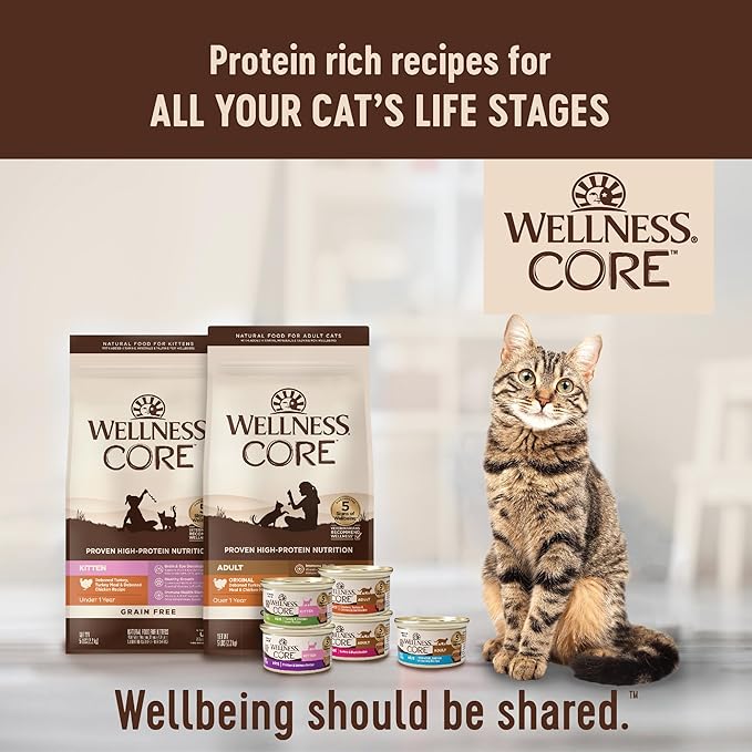 Wellness CORE Signature Selects Shredded Adult Wet Cat Food, Natural, Protein-Rich, Grain Free, 5.3 Ounce, 12 Pack (Poultry Variety Pack)