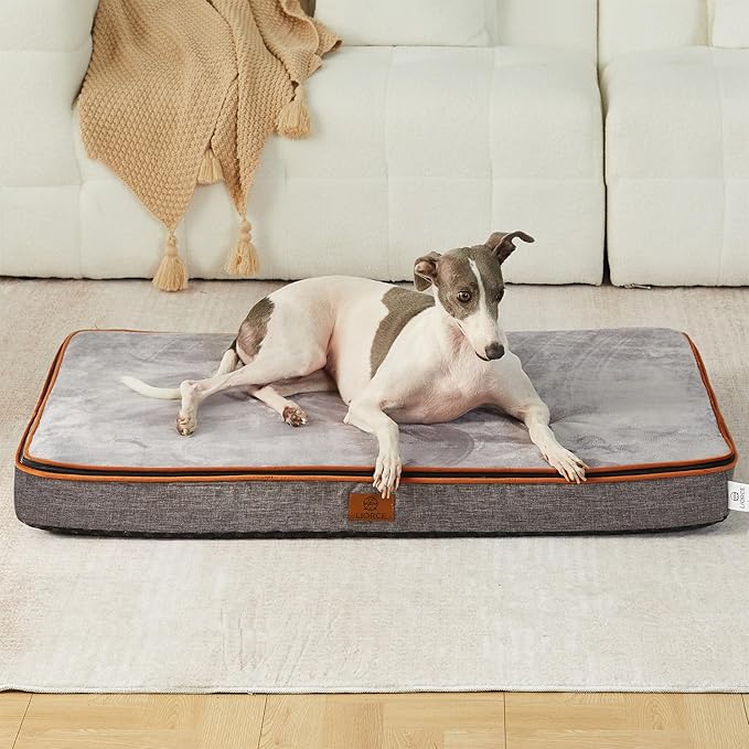 Memory Foam Large Dog Bed - 4” Thick Orthopedic Beds for Large Dogs - Waterproof Dog Bed with Removable Washable Cover & Wrap-Around Zipper - Ultimate Comfort and Easy Maintenance