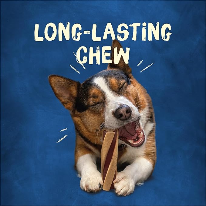 Purina Busy With Beggin' Made in USA Facilities Small/Medium Breed Dog Treats, Twist'd - (2) 6 ct. Pouches