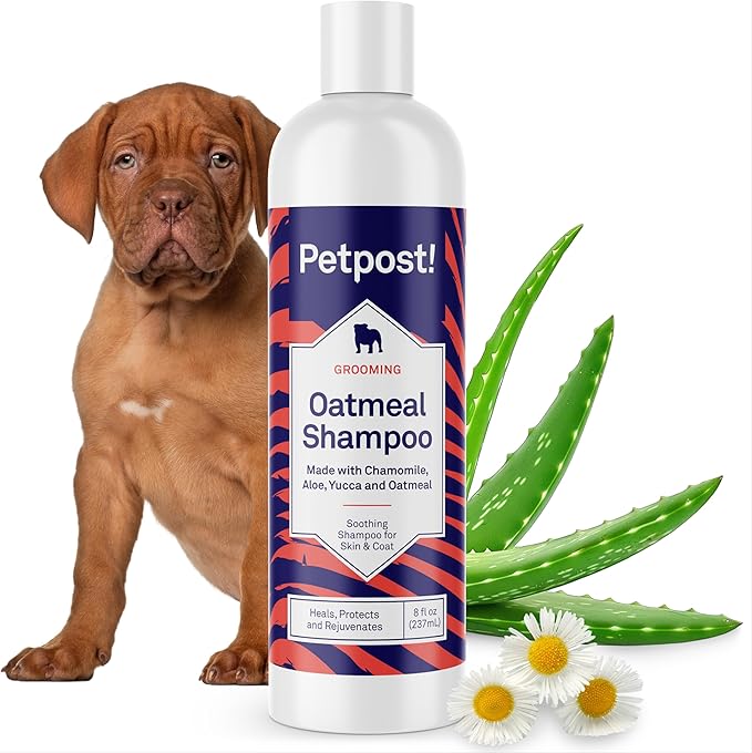 Petpost | Oatmeal & Chamomile Dog Shampoo. Soothes Dry, Sensitive Skin, Moisturizes & Softens Coat with Aloe & Yucca. 8 oz