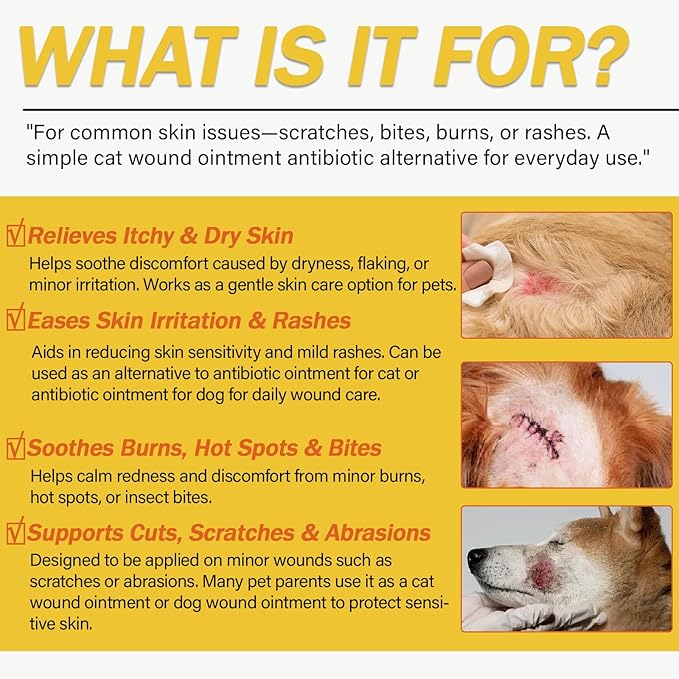 Wound Care Ointment for Dogs & Cats - Antibiotic Wound Ointment for Dogs, Cat Wound Ointment, Hot Spot & Itchy Skin Relief, Vet-Recommended Healing Ointment, 1oz