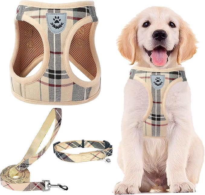 PUPTECK Adjustable Pet Harness Collar &Leash Set Step in for Small Dogs Puppy &Cats Outdoor Training &Running, Soft Mesh Padded Reflective Vest Harness,M: Chest girth: 16-18in Collar: 11.8-15.7in