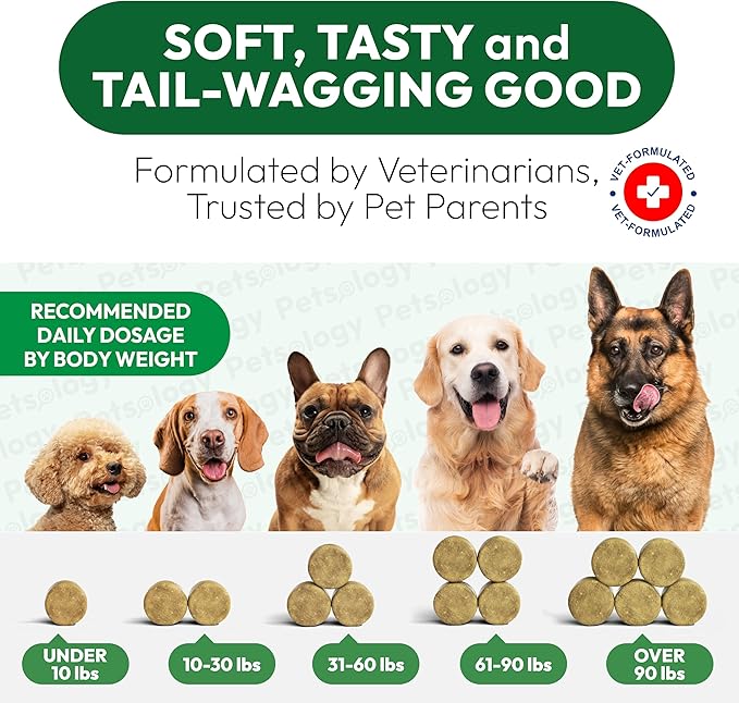 Dog Allergy Relief Chews - 170 Dog Allergy Chews - Itch Relief for Dogs - Omega 3 Fish Oil, Probiotics For Itchy Skin & Hot Spots Allergies, Paw Licking, Dry Skin & Coat Supplement - Beef Liver Flavor
