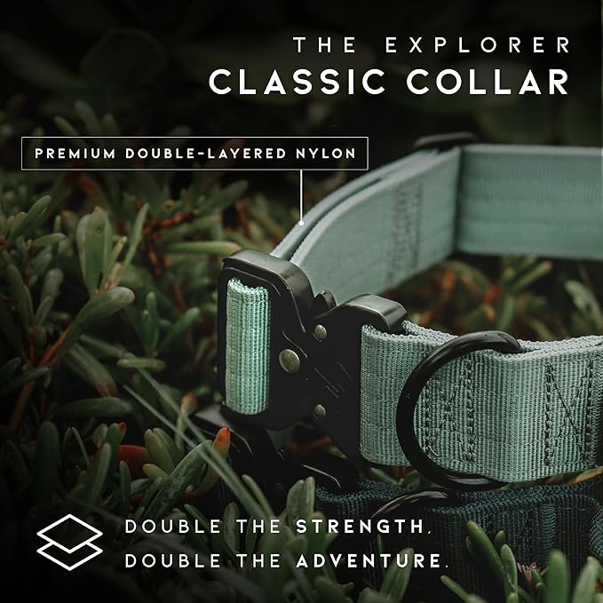 Made to ROAM Premium Dog Collar - Adjustable Heavy Duty Nylon Collar with Quick-Release Metal Buckle (Alaska Daybreak, Classic Size 2.5)