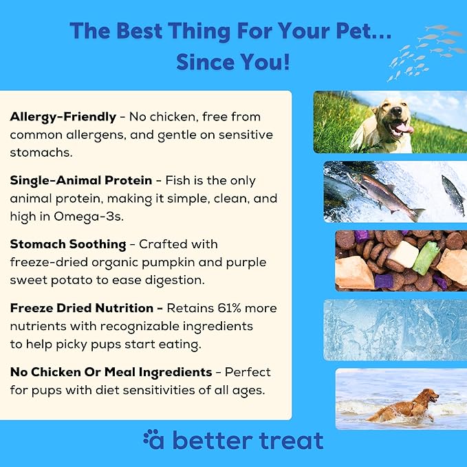 A Better Treat | Allergy Friendly Ocean Blend Dry Dog Food | Raw You Can See | No Chicken, No Grain, No Meal Ingredients | Fish Only Animal Protein |Stomach Soothing Kibble + Freeze Dried Raw Dog Food