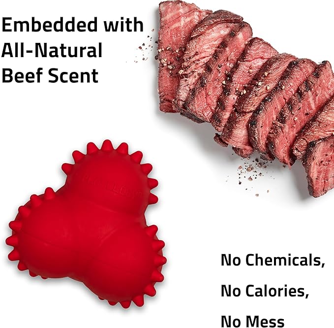 Playology Dog Toys | Puppy Toy Teething Bounce Ball Designed for Young & Active Dogs | Medium Beef Scented Toy Made from Non Toxic Materials