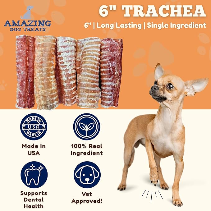 Amazing Dog Treats - 6 Inch Beef Trachea Dog Chews (100 pcs) - Trachea Dog Treats - NO Hide - Digestible and Safe Chews for Dogs - Glucosamine and Chondroitin for Joint Health for Dogs