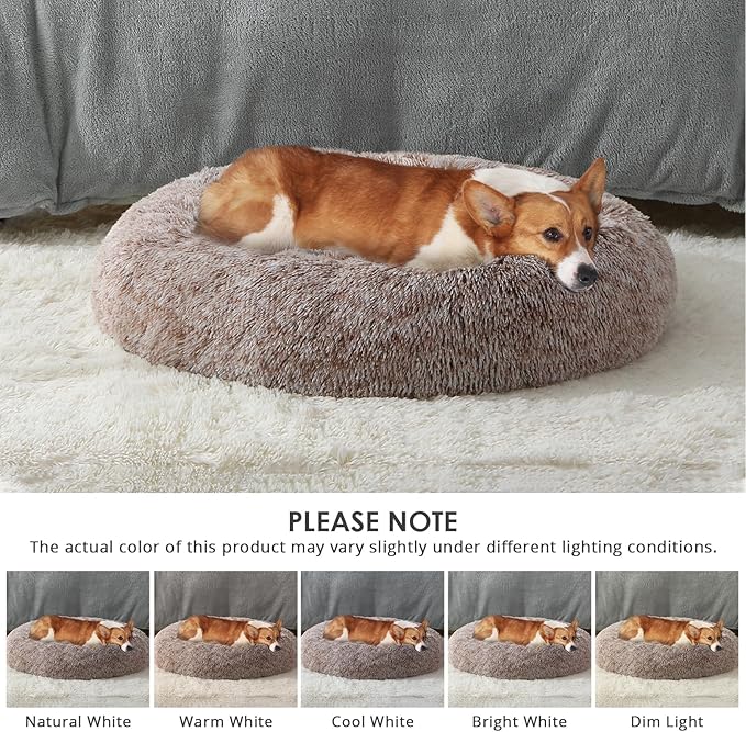 JOLLYVOGUE Dog & Cat Bed, Calming Anti-Anxiety Pet Bed for Small Dogs, Fluffy Donut Cushion for Small and Medium Pets (20")