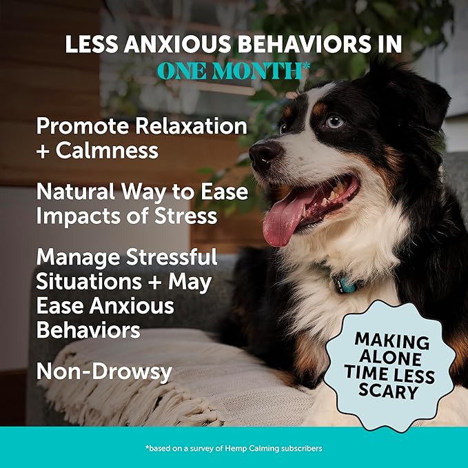 Natural Hemp Calming Chews for Dogs - Calming Aid Supplement for Occasional Anxiousness with Valerian Root, Chamomile, + Magnesium - Stress, Separation & Thunder Support - (Chicken, 90 Count)