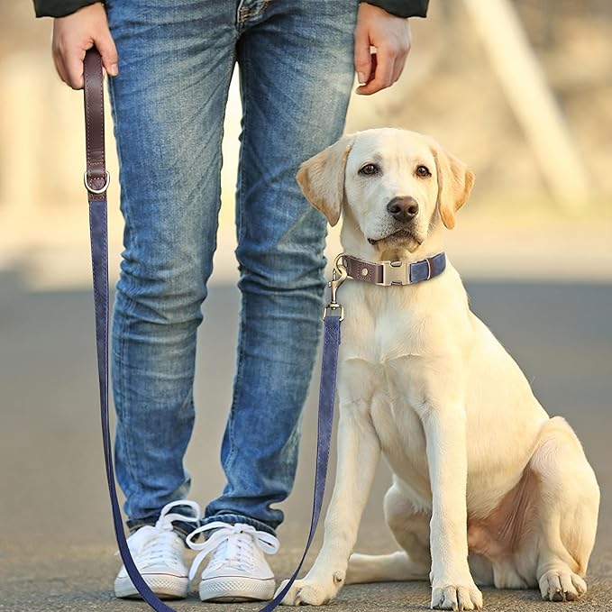 Didog PU Leather Dog Leash for Small Dogs 4.5ft, Soft Padded Handle Dog Leashes for Medium Size, Walking and Training Leashes Faux Leather for Large Pet,Blue