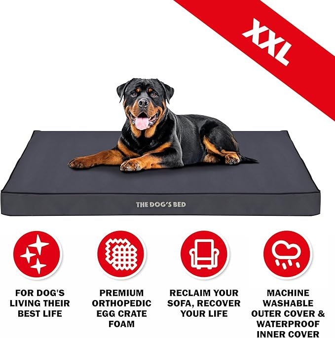 The Dog’s Bed Orthopedic Dog Bed, XXL Grey with Black Trim, Waterproof, Supportive Dog Bed with Washable Replaceable Covers, Veterinary Approved