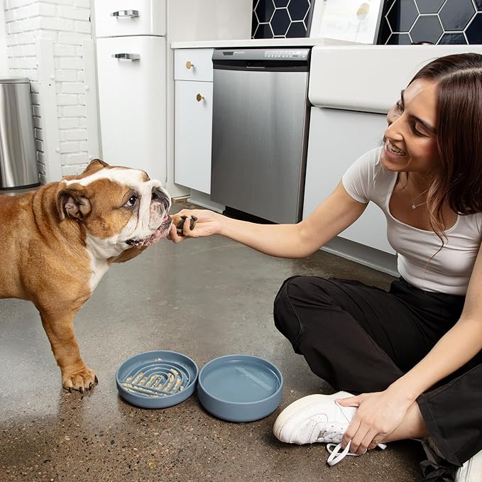 Should We Go? Slow Feeder for Dogs & Puppies, The Slowdown Bowl Silicone Slow Eating Modern Lick Mat Design, Reduces Gulping, Fits 2 Cups 7.5” Across x 1.5” Tall, Mealtime Challenge, Medium-Terracotta