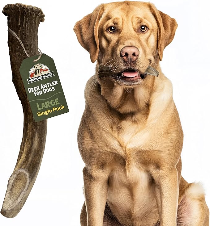 Heartland Deer Antlers for Dogs - Daily Dental Care Chews for Aggressive Chewers to Reduce Plaque & Prevent Destructive Behavior (Large, 6-8", 1-Pack, Grade A, USA Made)