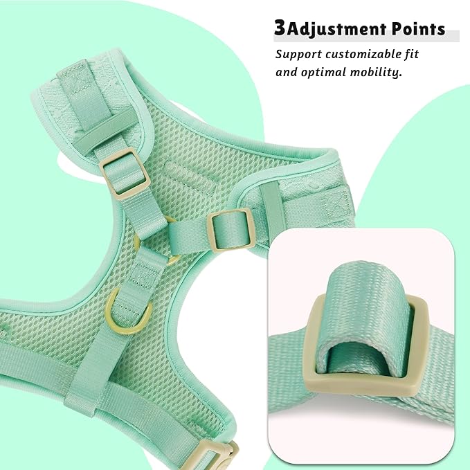 Silk Embroidery Dog Harness with D-Ring Leash Clip Set,Adjustable Soft Padded and Cotton Fabric Pet Vest for Medium and Small Dogs (Mint, Small)