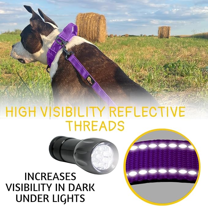 ADITYNA Tactical Bungee Dog Leash 6ft-7.5ft - Shock Absorbing Lead with 2 Padded Handles, Metal Clasp, Car Seatbelt - Heavy Duty No Pull for Medium, Large & XL Breeds