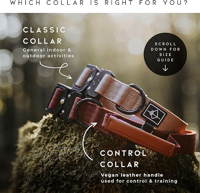 Made to ROAM Premium Explorer Control Collar - Adjustable Heavy Duty Nylon Dog Collar with Quick-Release Metal Buckle and Handle (Texas Flair, Control Size 5)