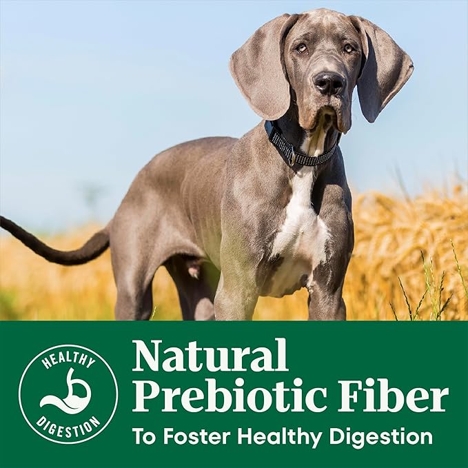 Nutro Natural Choice Large Breed Puppy Food Dry, Chicken & Brown Rice Recipe, 13 lb. Bag