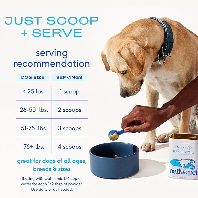 Native Pet Probiotics for Dogs - Dog Probiotics Powder for Digestive Health, Gut Support, & Immune Boost – Vet-Formulated Powder for Maximum Potency with Digestive Enzymes & Prebiotics - 240 Scoops