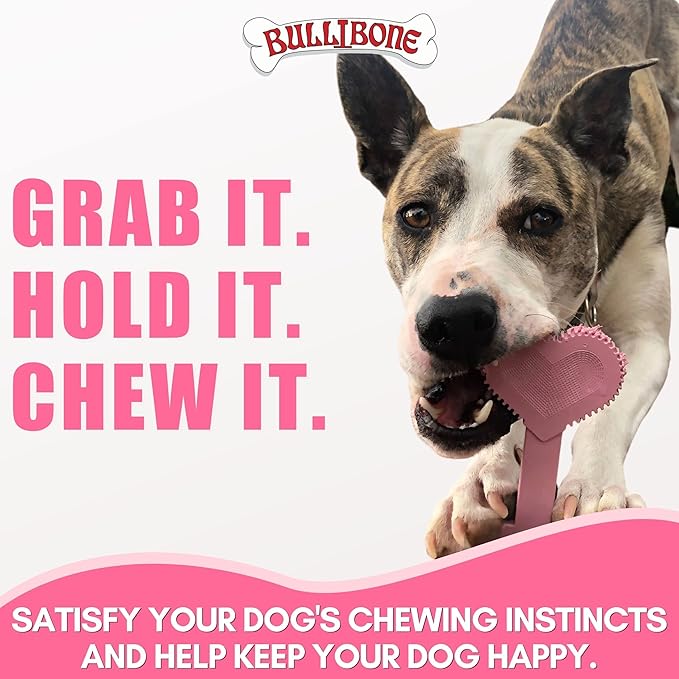 Bullibone Nylon Dog Chew Toy for Aggressive Chewers - Dental Hygiene Bone with Peppermint Flavor, Durable Tough Chew Toys for Large Dogs, Indestructible Dog Bone - 3 Pack