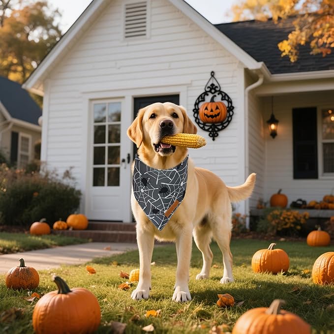 Realeaf Halloween Dog Bandanas 2 Pack, Spider Web Ghosts Bibs, Triangle Reversible Fall Pet Scarf, Premium Durable Fabric, Adjustable Fit (Halloween, Large)