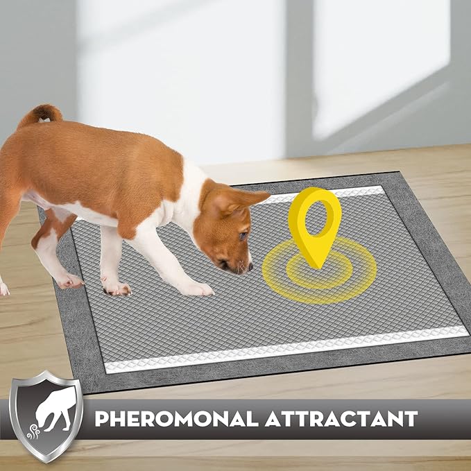 CROCI Puppy Pads 100 Count 36"x36" Jumbo Size Charcoal Pee Pads for Dogs, Super Absorbent Up to 11 Cups with 6-Layer Leak-Proof & Quick Dry Design Dog Pads 100 Pack, Disposable