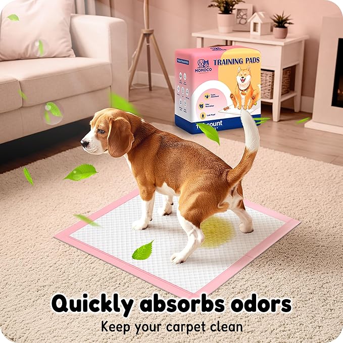 MoMoCo Puppy Pads, 23"x23"-100 Count Dog Pee Pads, Super Absorbent Disposable Dogs Training Pads , Leak-Proof, Quick-Drying Dogs Potty Pads for Doggies Puppies