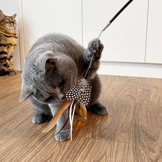 TTcat Cat Wand Toys,Flexible Spring and 4PCS Feather Refills,Feather Teaser Stick Cat Toys for Indoor Cats and Kittens.