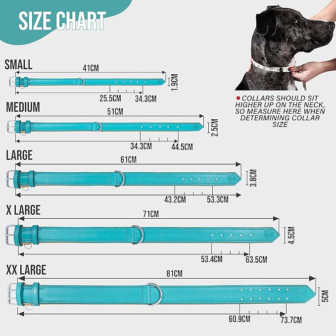 Riparo Adjustable Leather Dog Collar - Heavy Duty Wide Dog Collar for Small, Medium, Large and Extra Large Dogs with Dog Tag Holder, Blue Dog Collars (XL: 1.75" Wide for 21”-25” Neck, Aqua)