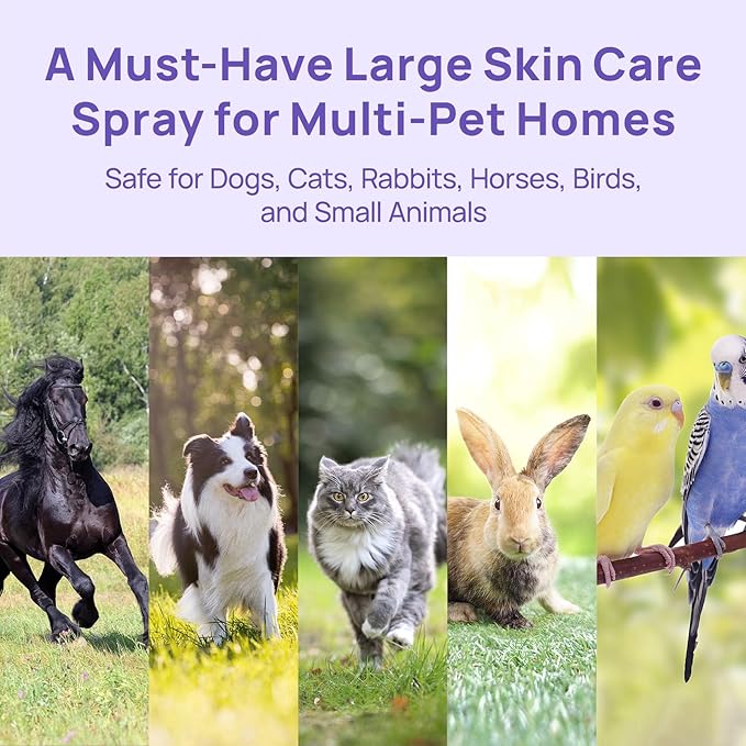 HICC PET Hot Spot Treatment Spray for Dogs & Cats, 2X Strength for Dog Wound Care, Dog Itch Relief Spray for Alleviate Dry Itchy Skin, Allergies, Inflammation, Dog Skin Irritation Treatment, 10 fl oz