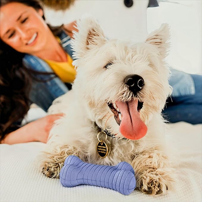 Playology Dog Toys | Dual Layer Bone Durable Chew Toy Bone for Dogs | Medium Blueberry Scented Toy - Easy to Clean and Made from Non Toxic Materials