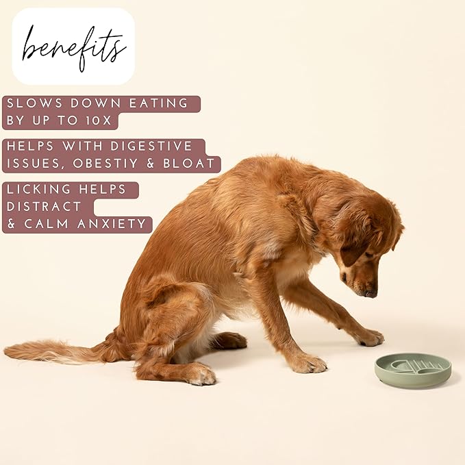 Should We Go? Slow Feeder for Dogs & Puppies, The Slowdown Bowl Silicone Slow Eating, Modern Lick Mat Design, Reduces Gulping, Fits 2 Cups, 7.5” Across x 1.5” Tall, Mealtime Challenge, Medium-Sage