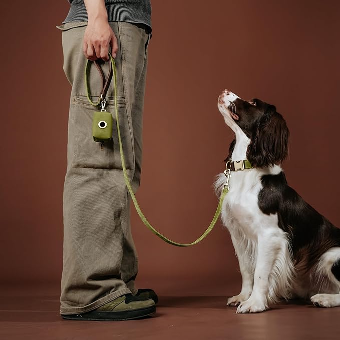 Didog PU Leather Dog Leash for Small Dogs 4.5ft, Soft Padded Handle Faux Leather Dog Leashes for Medium Dogs, Walking and Training Leashes for Large Dogs,Olive Green