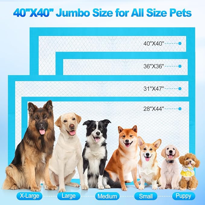 Pee Pads for Dogs & Cats 40"x40" 13 Count, Puppy Pads Extra Large, Disposable Thicken Pet Training Pads for Doggie Rabbits, Incontinence Underpads Ultra Absorbent & Quick-Dry, Leakproof Potty Pad