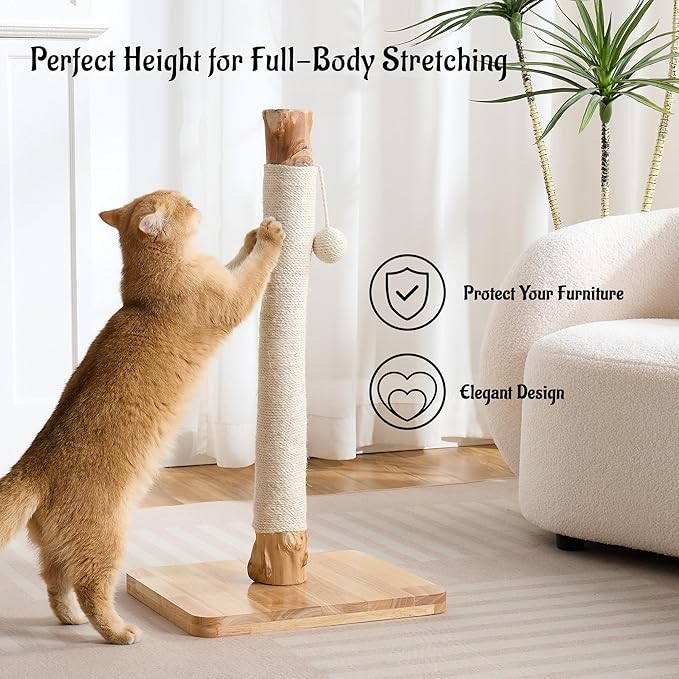 29" Tall Cat Scratching Post for Indoor Cats Adults, Extra-Stable & Natural Solid Wood Scratching Post Sisal Scratcher with Hanging Funny Ball, White