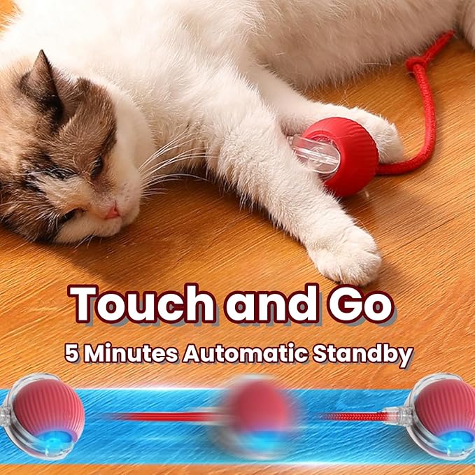 Interactive Rolling Cat Ball, Cat Rotating Toy, 360° Smart Rolling Ball Toy Electric Balls,Suitable for Floors, Carpets, Tiles, Living Rooms (Green+red)