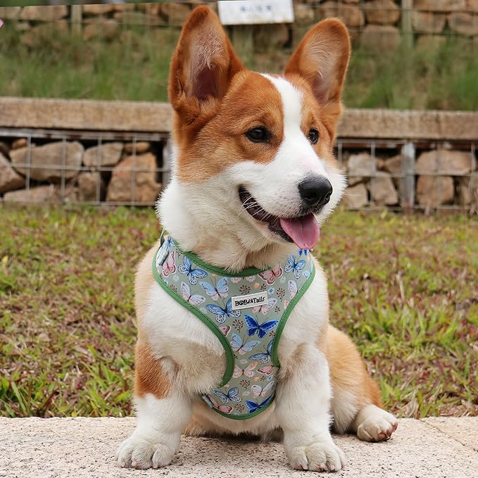 Butterfly Printed Dog Harness with D-Ring Leash Clip Set,Adjustable Soft Padded and Cotton Fabric Pet Vest for Medium and Small Dogs (Green, Extra Small)