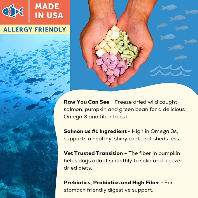 A Better Treat | Allergy Friendly Ocean Blend Dry Dog Food | Raw You Can See | No Chicken, No Grain, No Meal Ingredients | Fish Only Animal Protein |Stomach Soothing Kibble + Freeze Dried Raw Dog Food