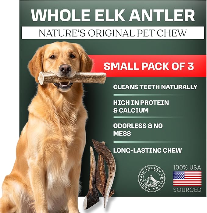 Mountain Valley Elk Antlers for Dogs - 100% Natural & Organic Chew for Aggressive Chewers, No Odor, No Mess, Long Lasting - Wild-Foraged Naturally Shed Antlers in USA - Grade A, Whole Small (3 Pack)