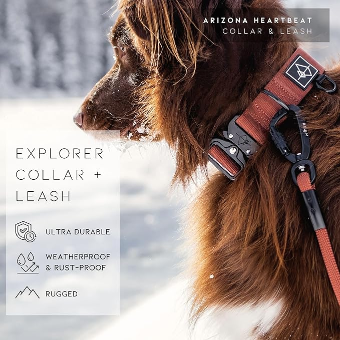 Made to ROAM Premium Dog Collar - Adjustable Heavy Duty Nylon Collar with Quick-Release Metal Buckle (Texas Flair, Classic Size 1)