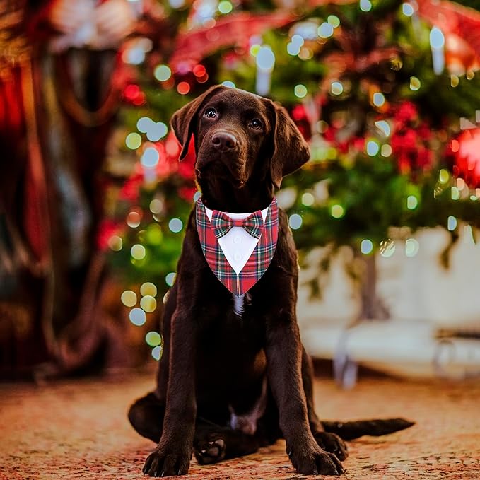 ADOGGYGO Christmas Dog Tuxedo Bandana, Red Plaid Pet Chritstmas Collar with Bowtie, Adjustable Christmas Costume for Medium Dogs Pets (M)