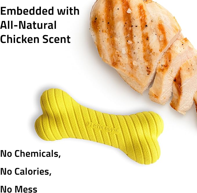 Playology Dog Toys | Dual Layer Bone Durable Chew Toy Bone for Dogs | Jumbo Chicken Scented Toy - Easy to Clean and Made from Non Toxic Materials