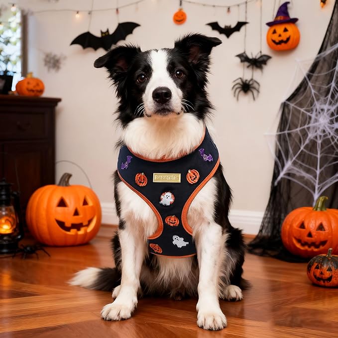 Halloween Velvet Dog Harness, No-Pull Design, Adjustable, XXS-Large, Black, Embroidered, Velvet & Corduroy, Machine-Washable (Black, XS)