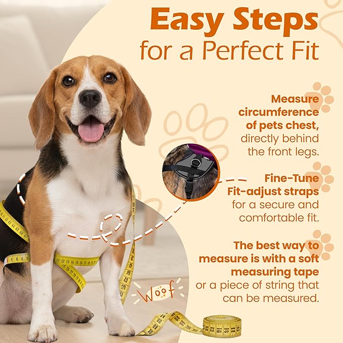 Bark Appeal Gray No-Pull Dog Harness for Large to Extra Large Sized Pets – Adjustable, Reflective Vest with 3 Leash Clips for Added Control, Easy Walks & Training – XL