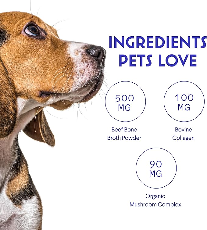 Wonder Paws Bone Broth for Dogs – Bone Broth Powder with Organic Mushrooms & Collagen for Digestion, Immunity & Joint Support – Tasty Beef Supplement for Dogs of All Ages, Sizes & Breeds – 3.20 oz
