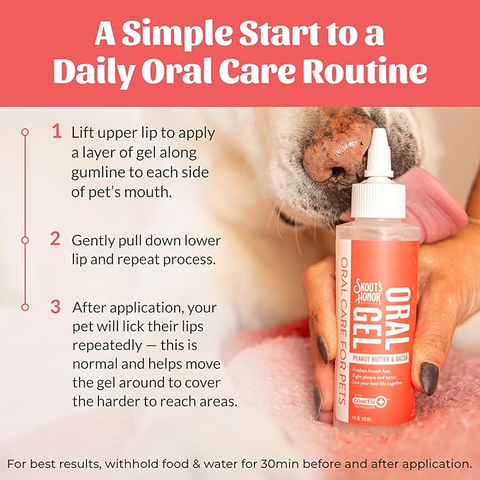 SKOUT'S HONOR Freshens Breath Peanut Butter & Bacon Oral Gel - Fights Plaque and Tartar, Freshens Breath Fast, No Brushing Required, 4 oz