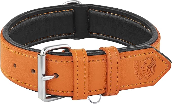 Riparo Orange Leather Dog Collar - Padded Heavy Duty Wide Dog Collar for Small, Medium, Large and Extra Large Dogs with Dog Tag Holder, Large Dog Collars (L: 1.5" Wide for 17"-21" Neck, Orange)
