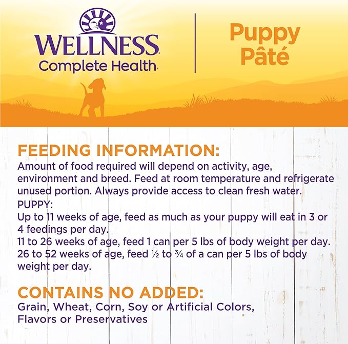 Wellness Complete Health Natural Wet Canned Puppy Food, Puppy Chicken & Salmon 12.5-Ounce Can (Pack of 12)